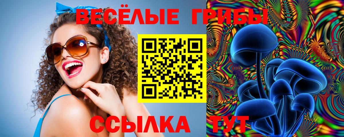 Псилоцибиновые грибы мухоморы Карпинск