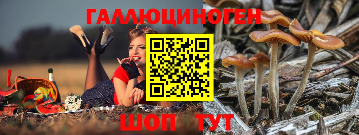 Карпинск  Галлюциногенные грибы мухоморы  Псилоцибиновые грибы мухоморы  Вход с VPN 